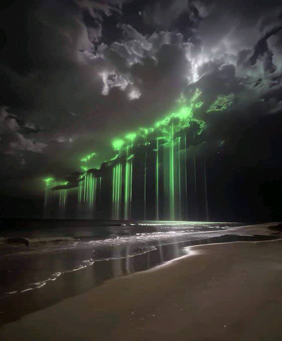 CRYPTO THRO tweet media