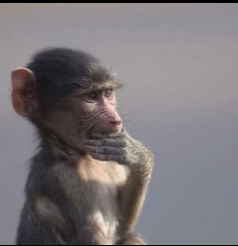 Osita ✝️ tweet media