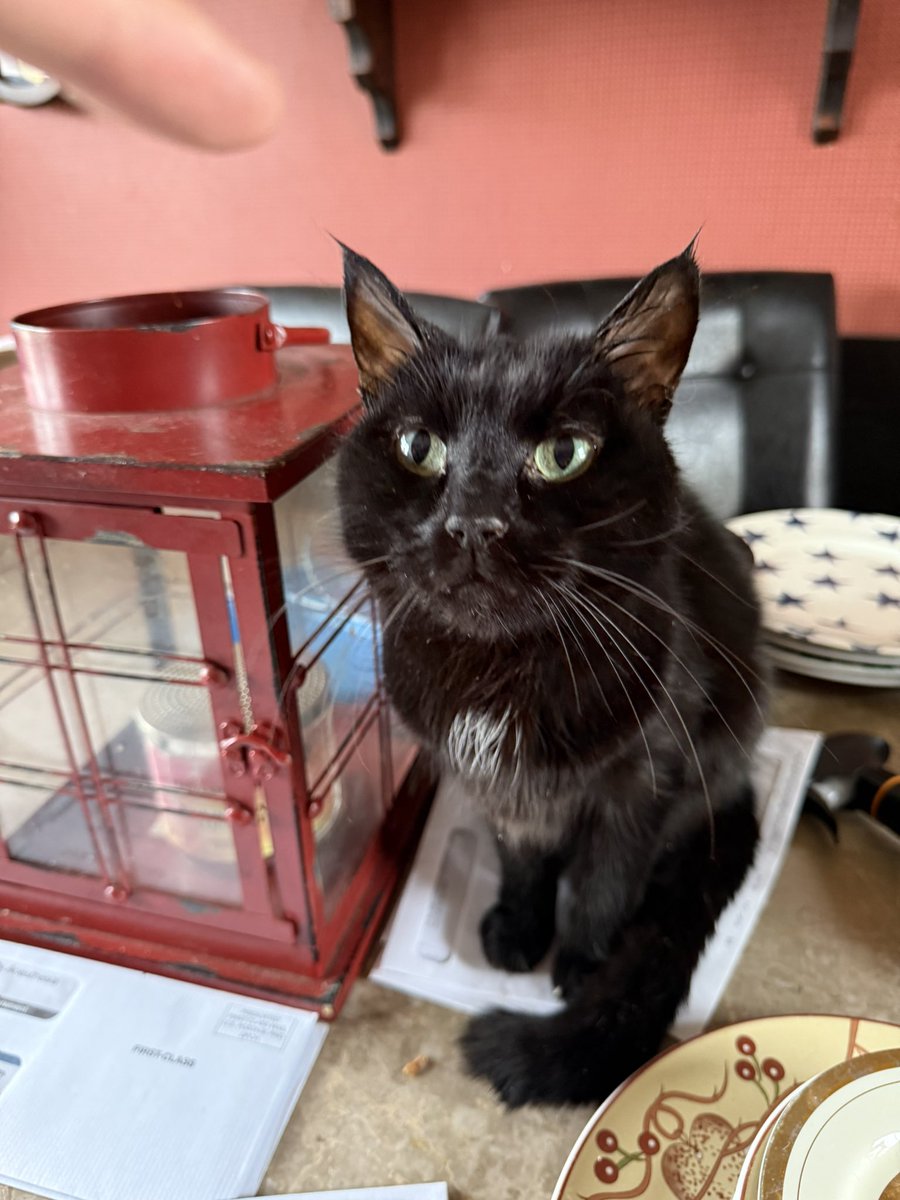 <a href="/regraygiant/">raybie</a> <a href="/charrlysa/">kira-ann</a> Same thing going on with my sweet bay boy rn :( my handsome creature I love so much <3 wishing u the best