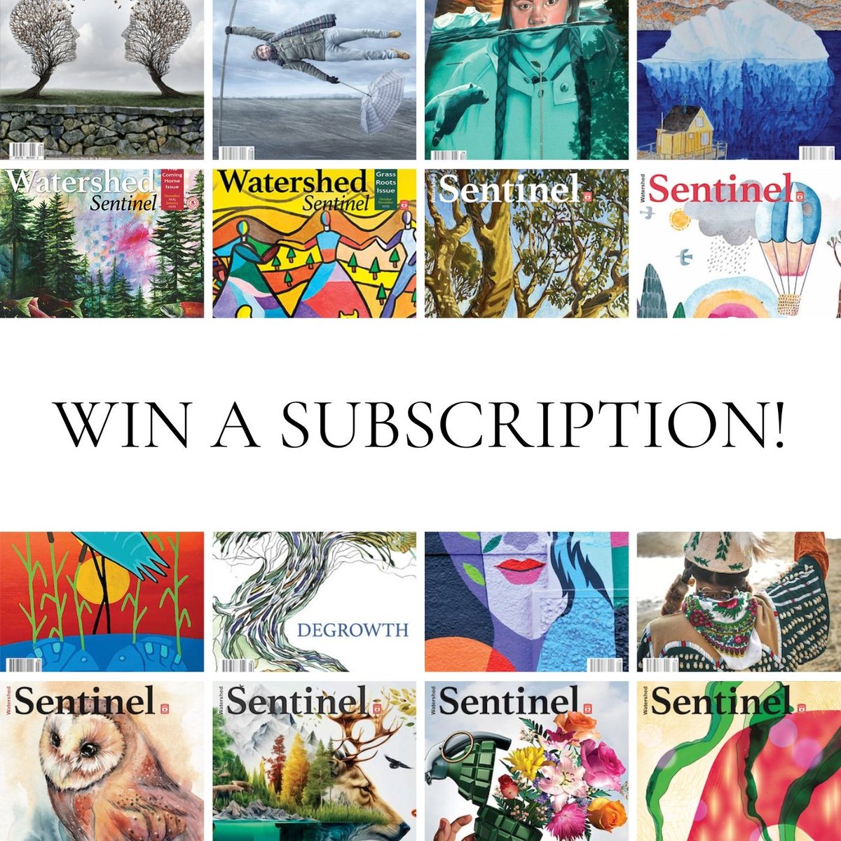 Watershed Sentinel tweet media