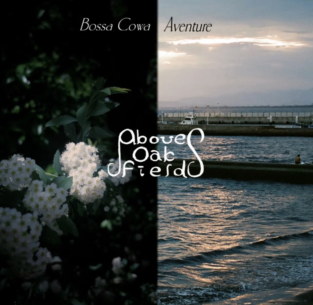 さんぽ🚶… tweet media