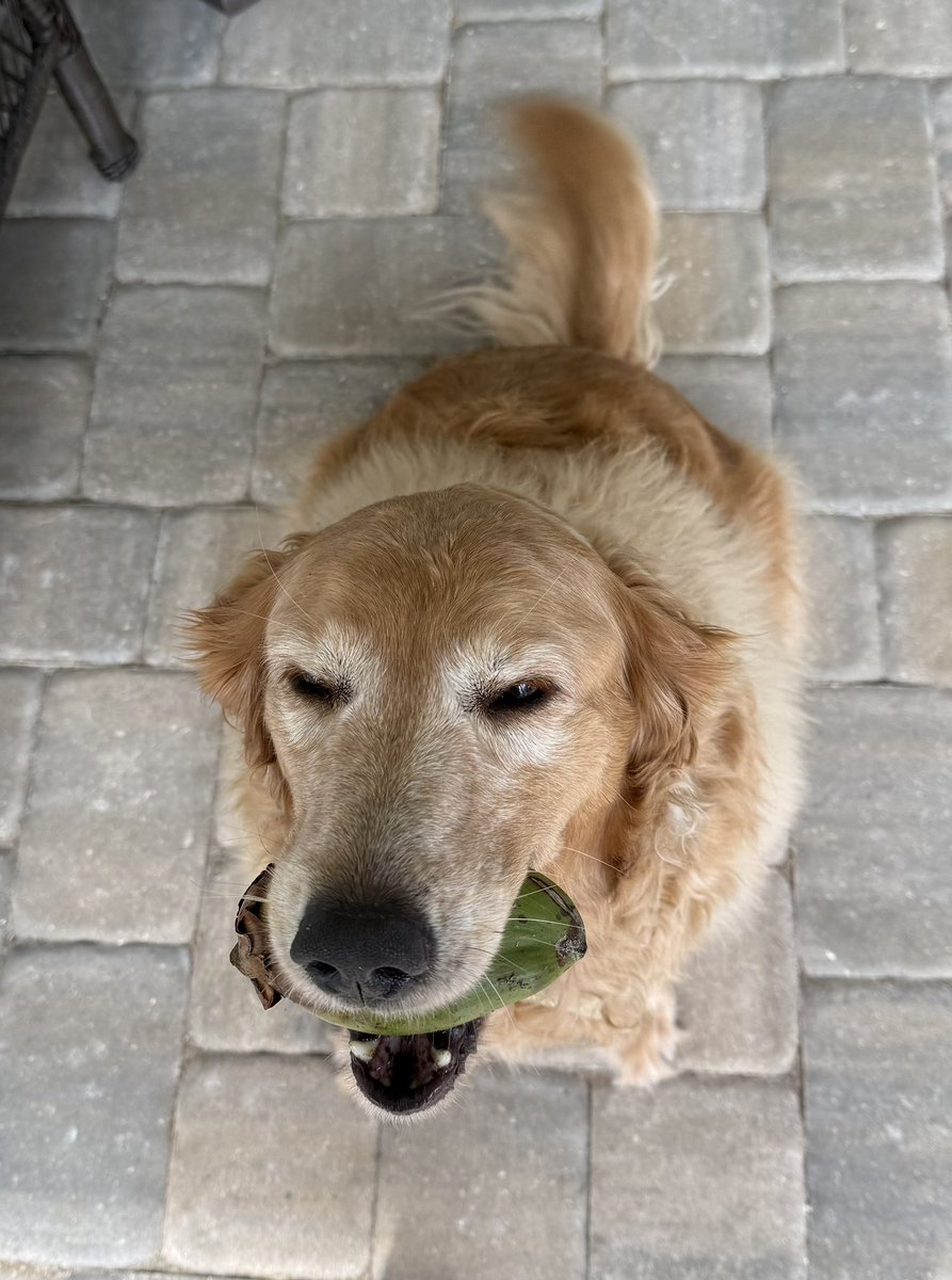 Riley🎀🐚 tweet media