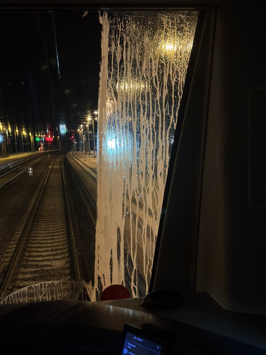 kiri / birke, hasel, erle, gräser, pollen hate acc tweet media