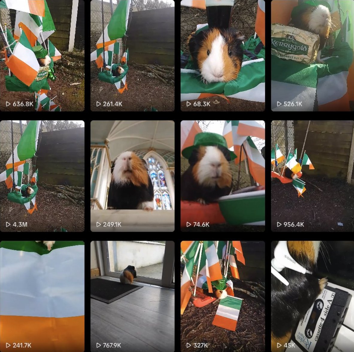 developer tweet media