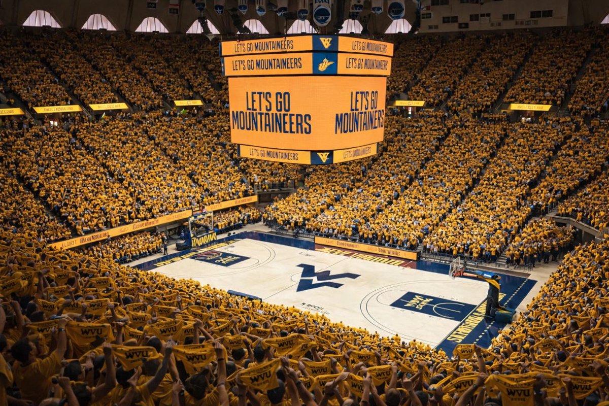 WV Mini Helmet Enthusiast tweet media