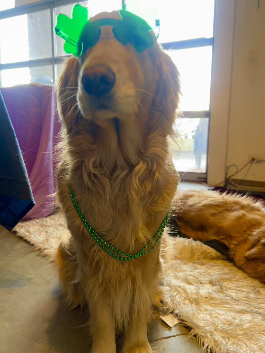 Kevin McSweeney tweet media