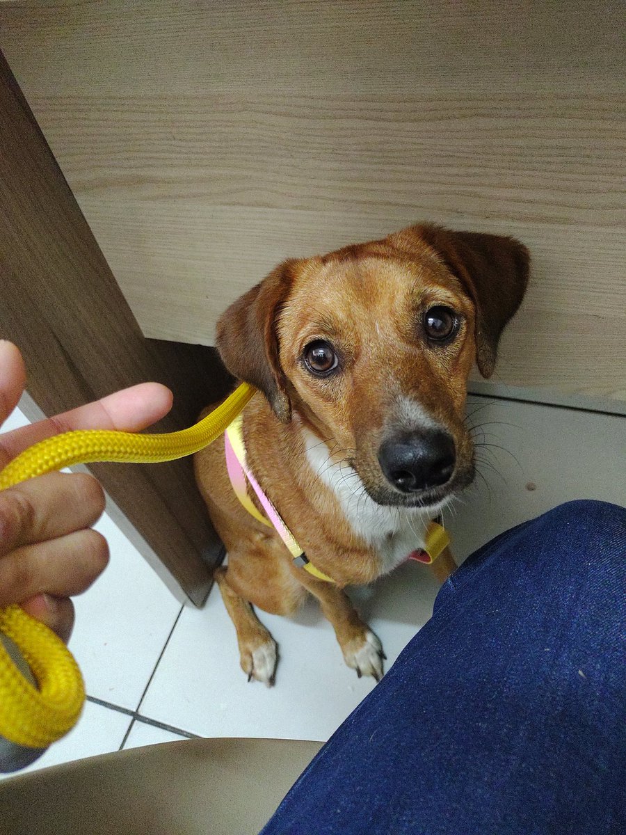 Cherry 🍒 OLHA O FIXADO!!! tweet media