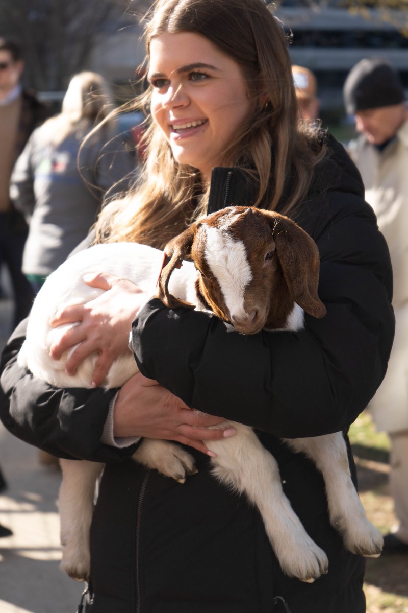 Representative Mark White tweet media