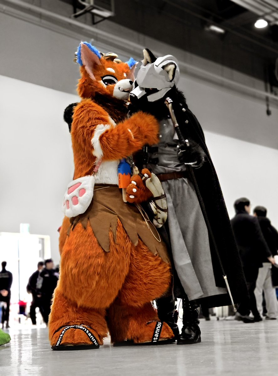 Night Fury tweet media