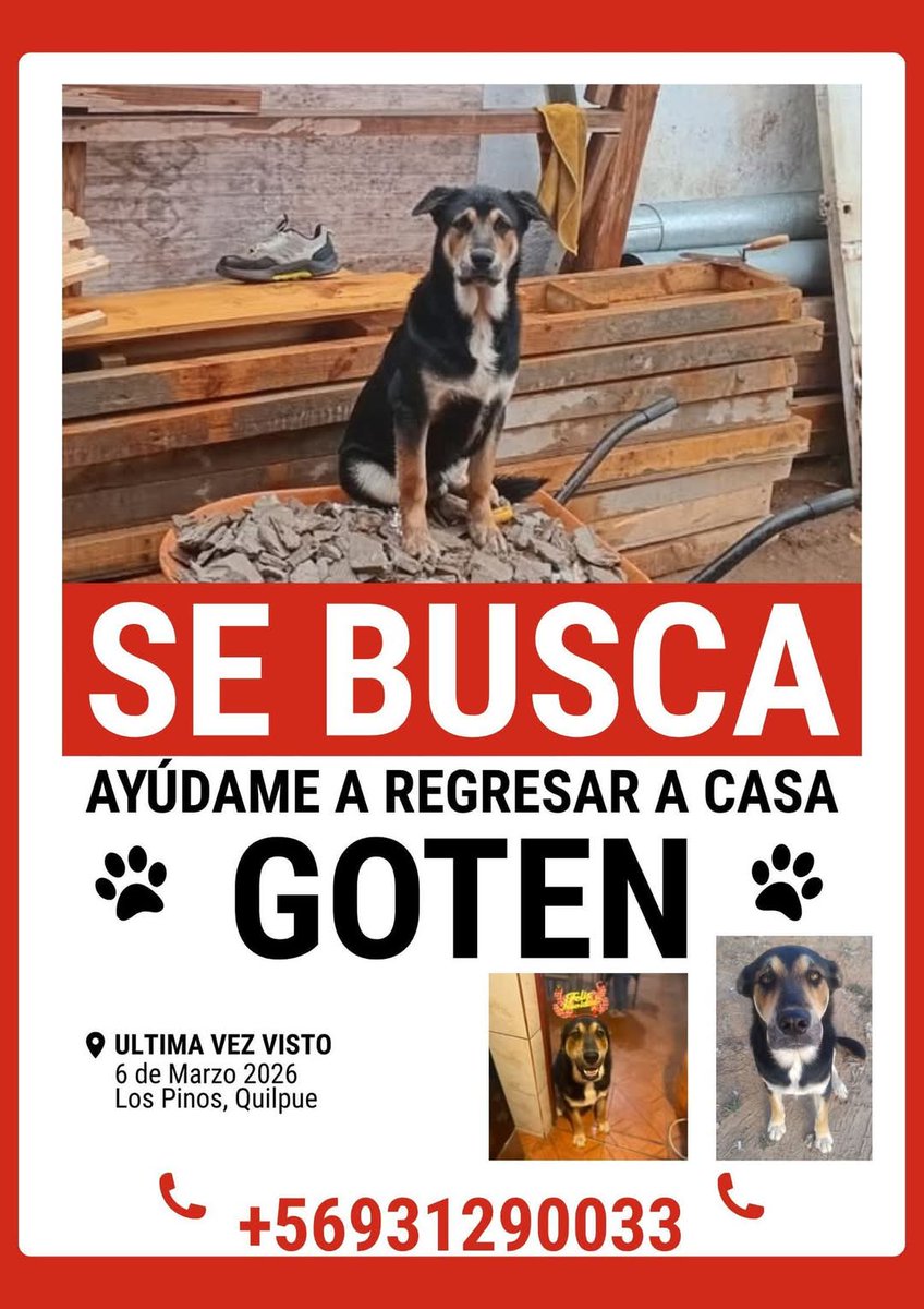 BrendaEtchegar1's tweet photo. Quilpué, Los Pinos https://t.co/33XDxvrwLW