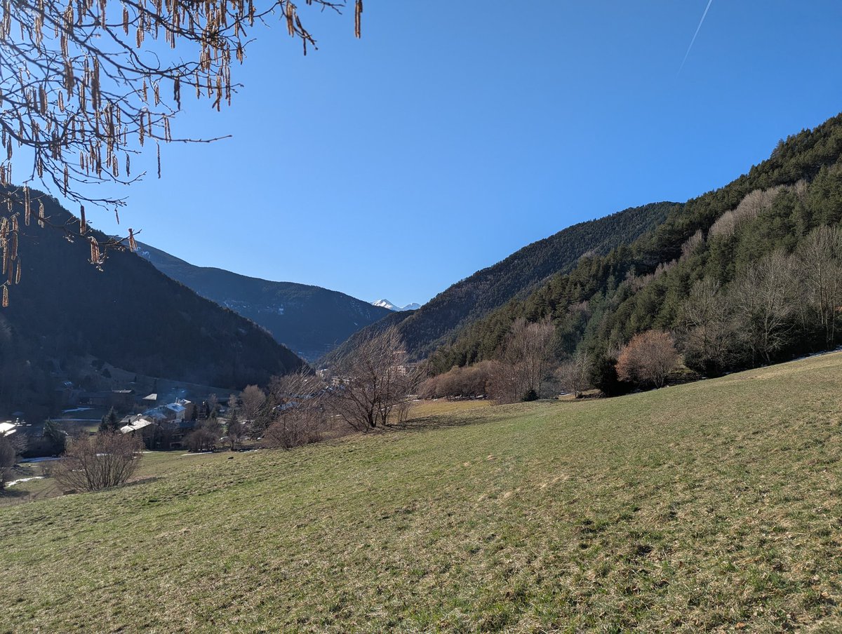 VisualMeteo tweet media