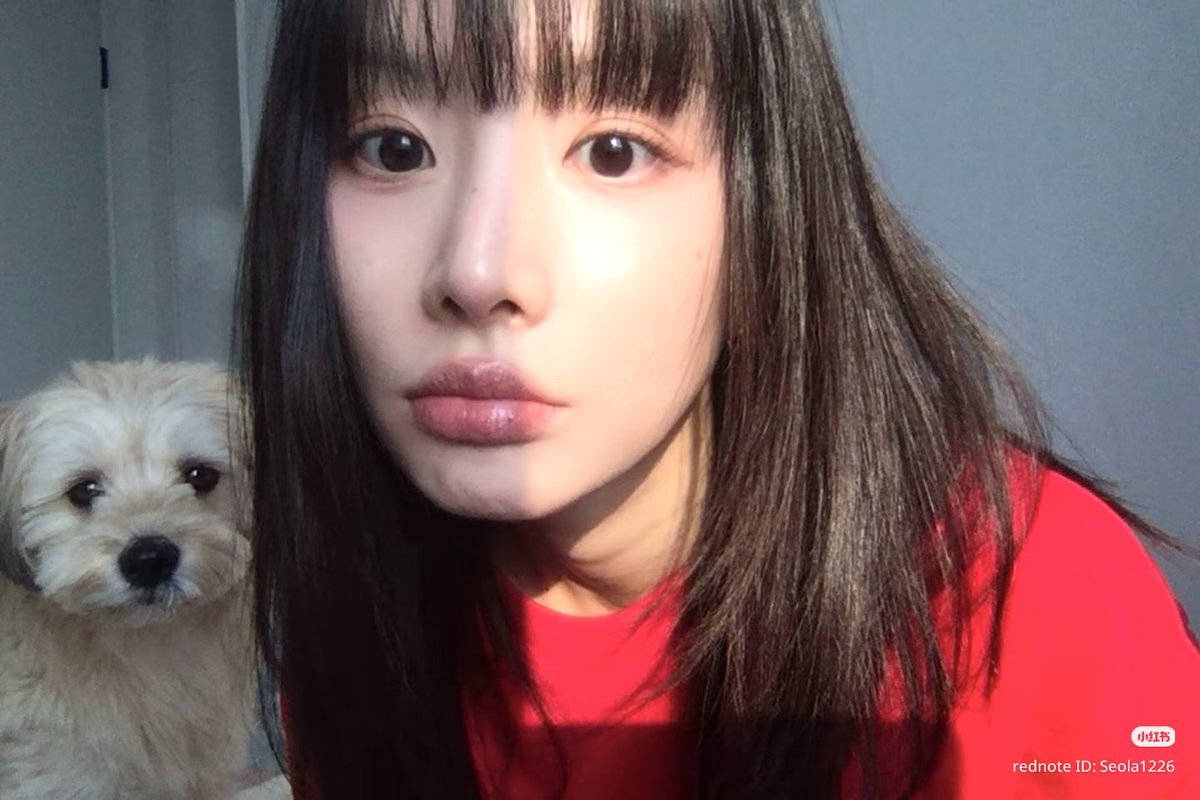 WJSN DAILY tweet media