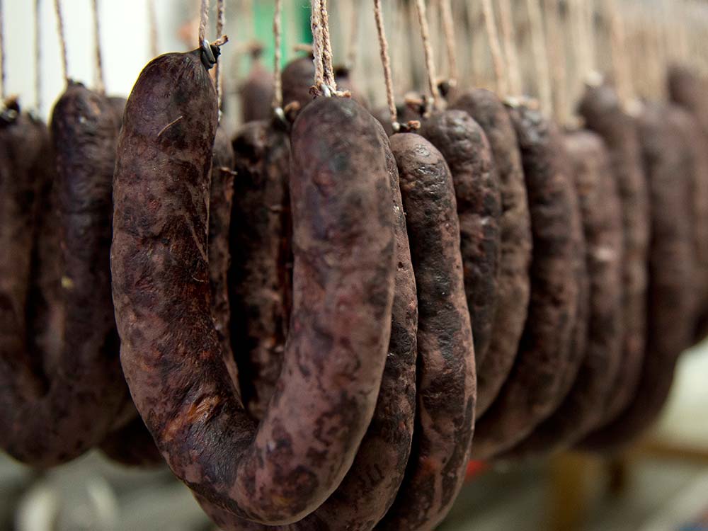 Jordi Galves tweet media