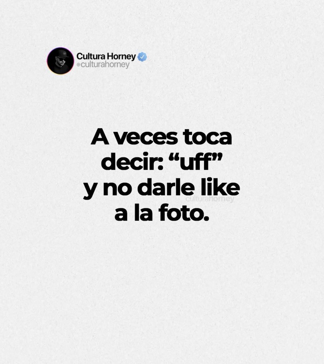 INDI-GENTE tweet media