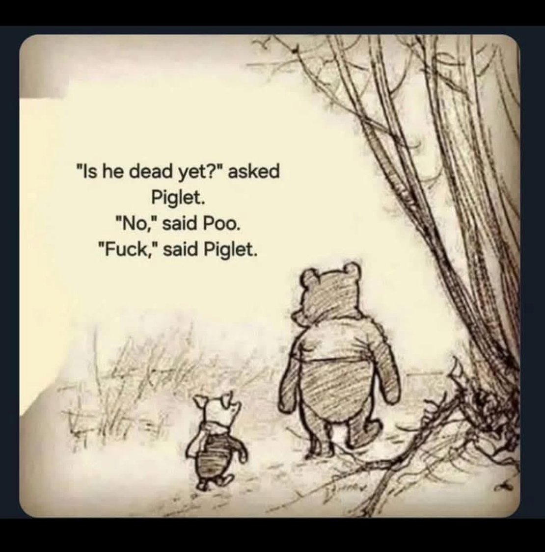 ytruthmatters tweet media