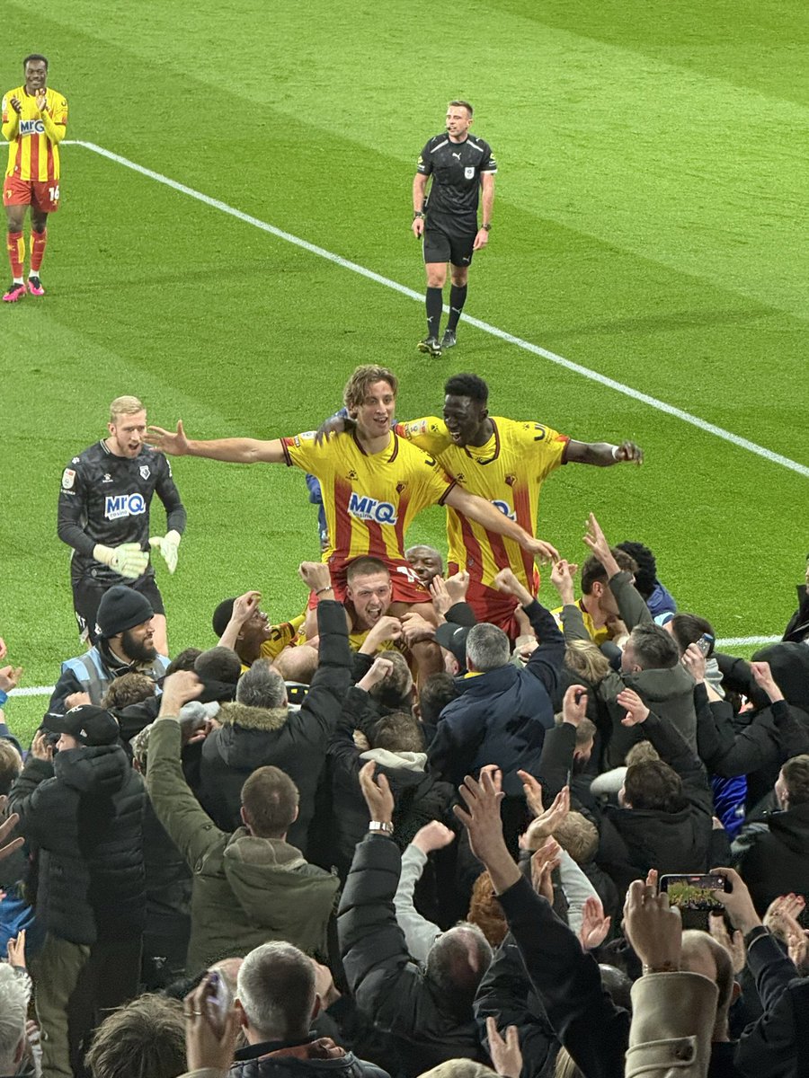 dave_prall's tweet photo. @WatfordFC https://t.co/pKWEQSDTFr