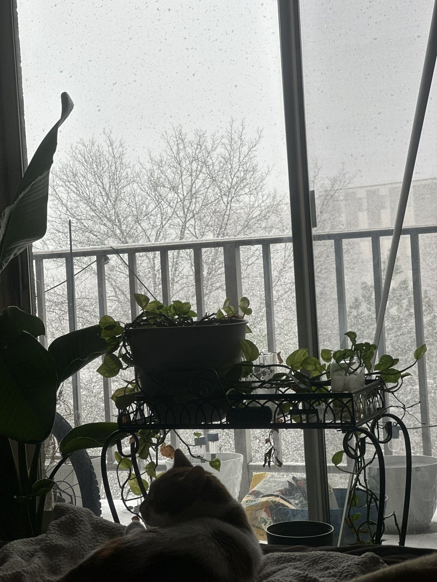 Pumpkin Sink Inspector tweet media