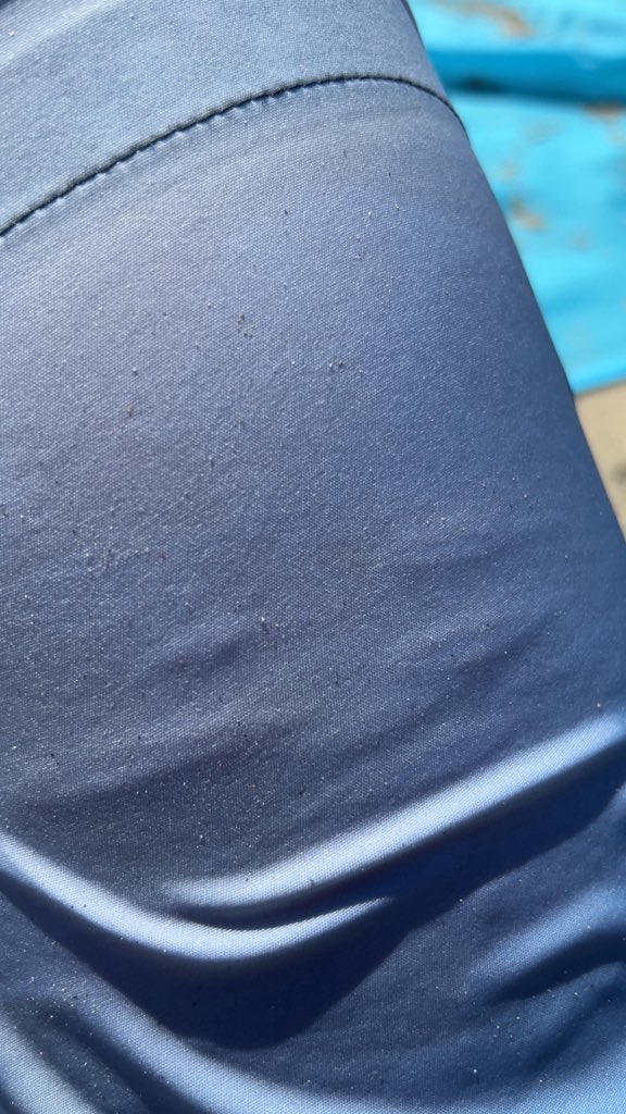 ۶୧◞ danny of shedtwt ︵︵ tweet media