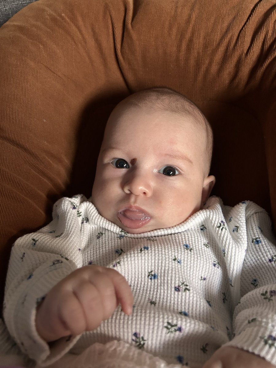 Connor Livesay tweet media