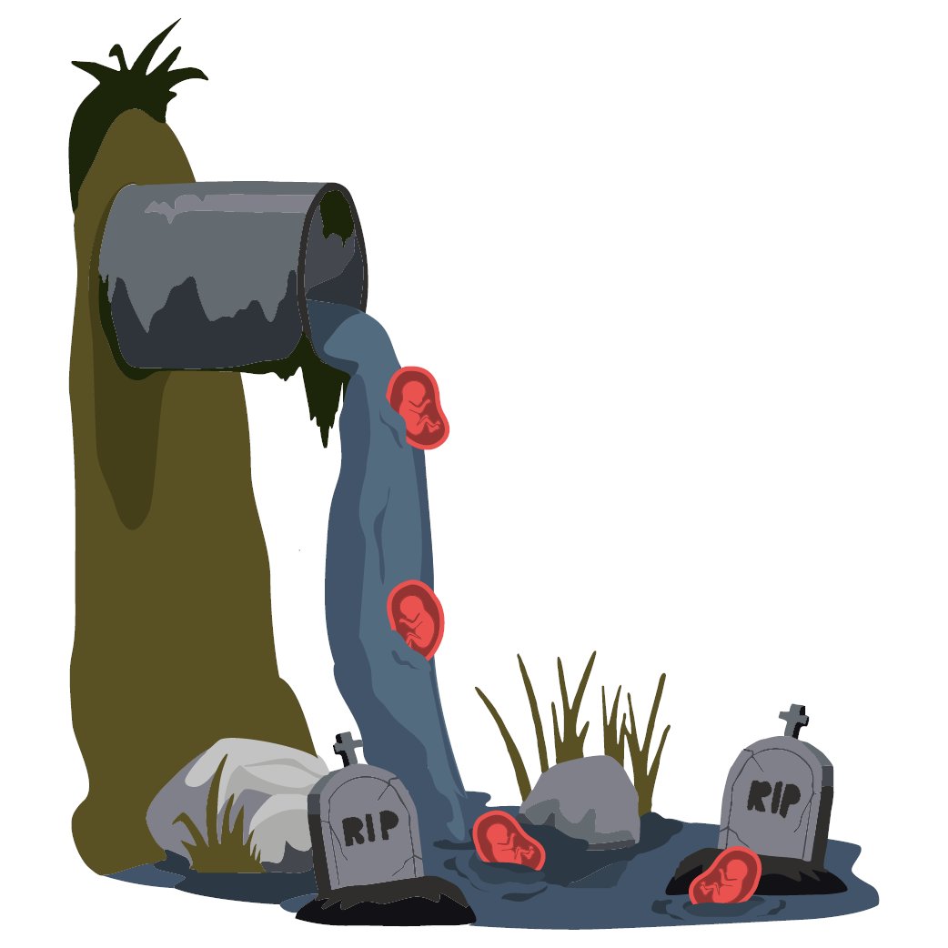 Students for Life Action tweet media