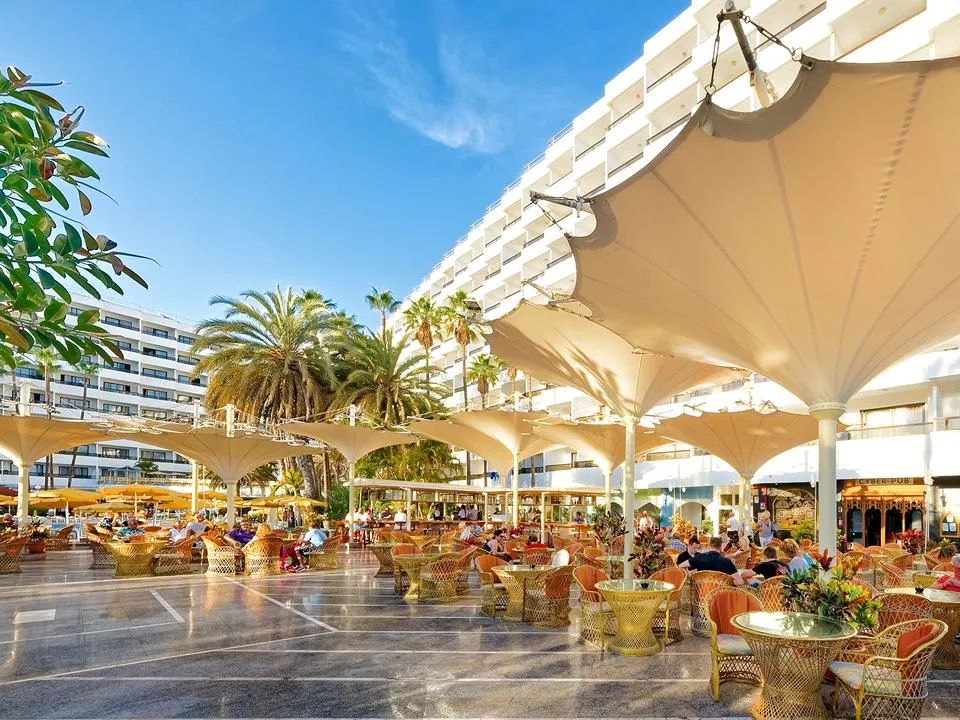 DutchFlyGuys tweet media