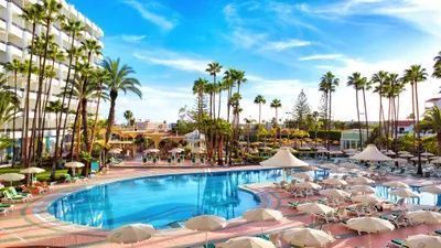 DutchFlyGuys tweet media