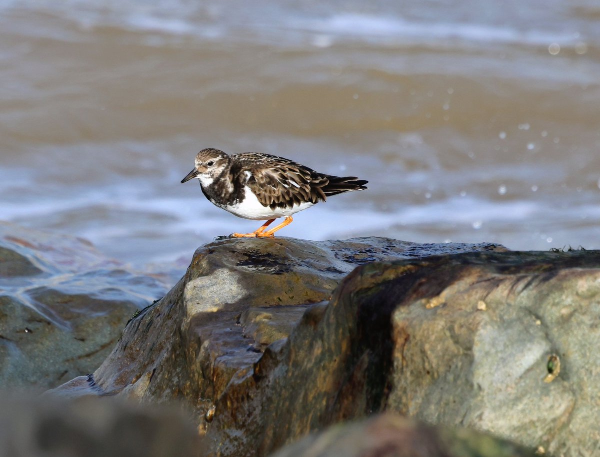 Ruth Watson tweet media