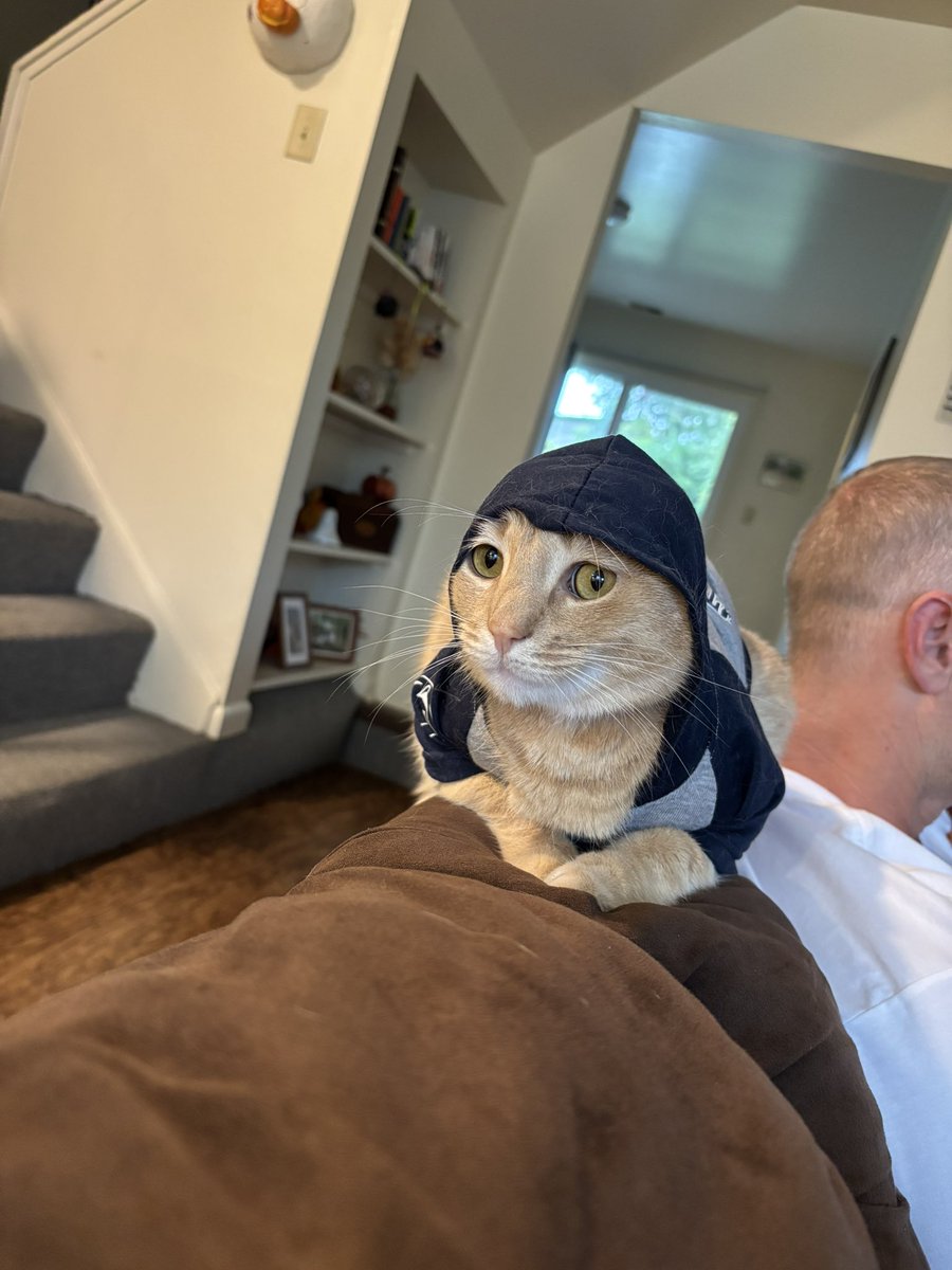 𝕙𝕦𝕤𝕜𝕪 tweet media