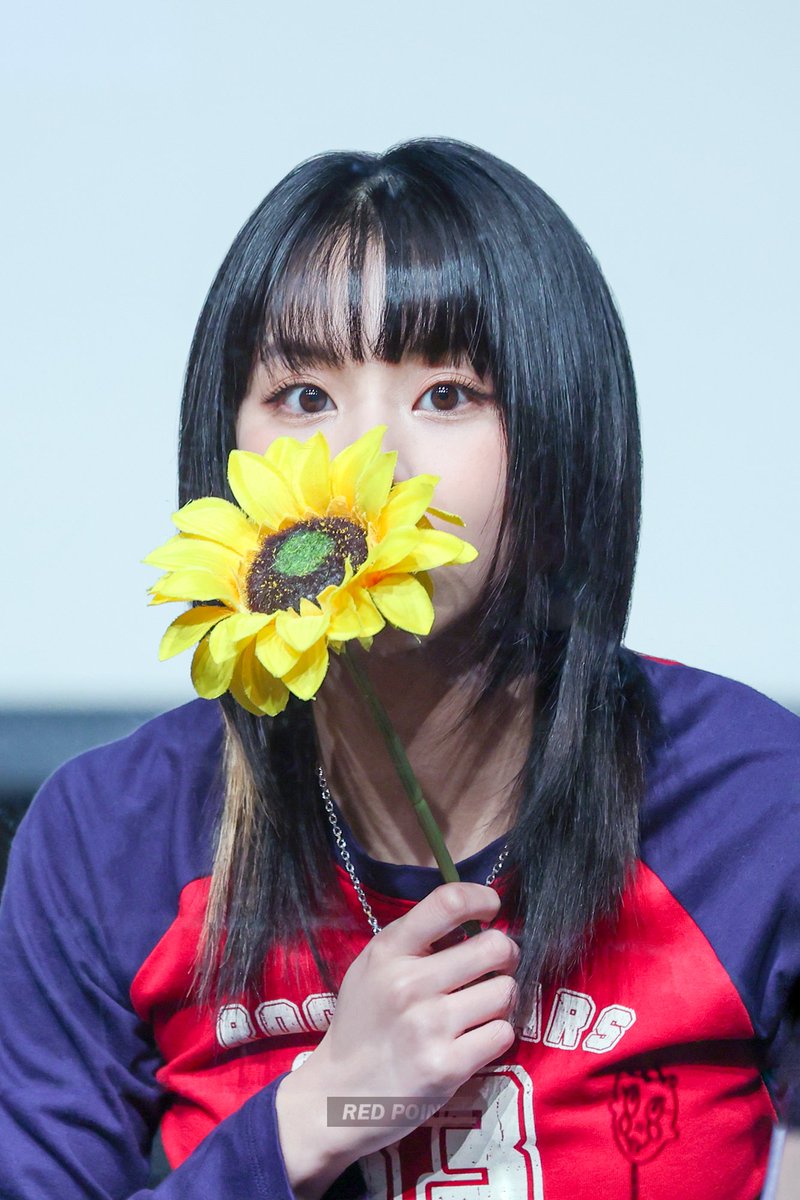 hourly chaeyoung 🫧 tweet media