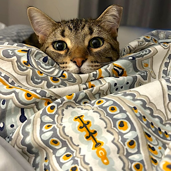 Com. Miracles Center tweet media