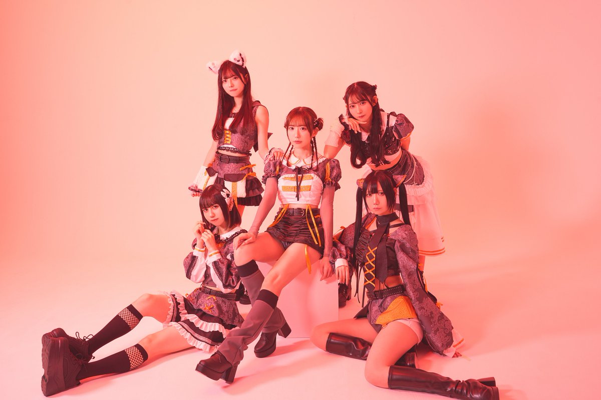 Wednesday Trend Finder【ウェンズデー トレンド ファインダー】 tweet media