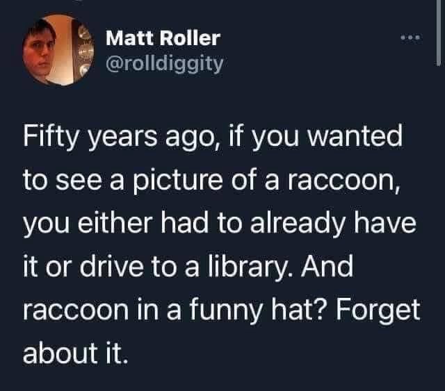 Rothmus 🏴 tweet media