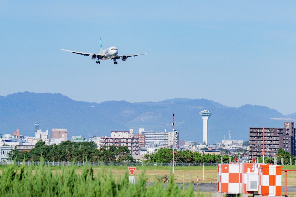airdo_hokkaido's tweet photo. おはどぅございます！
今日はAIRDO函館－東京線の就航記念日です • ᴥ •

皆さんいつもありがどぅございます🎶
これからもAIRDOをよろしくお願いします！ https://t.co/O17wzgesFg