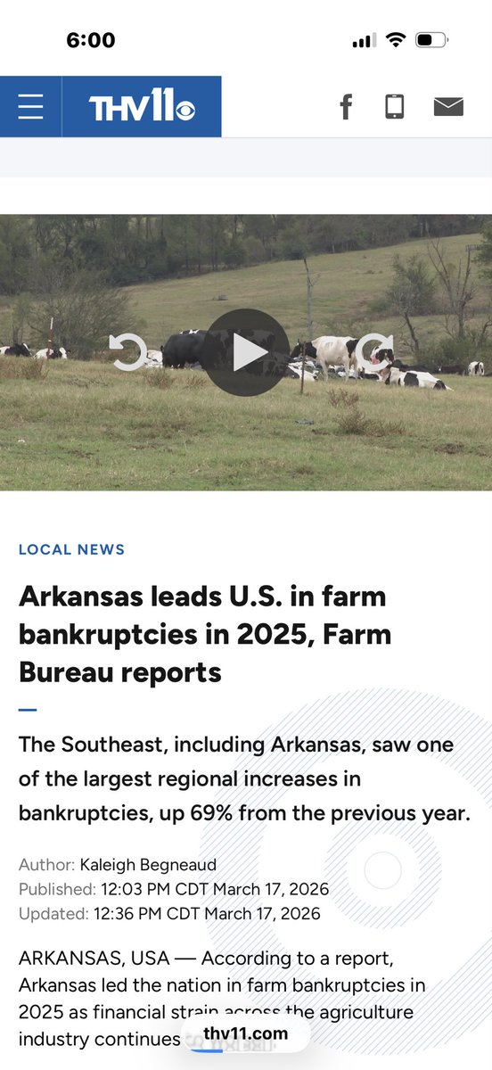 Mark from Ark tweet media