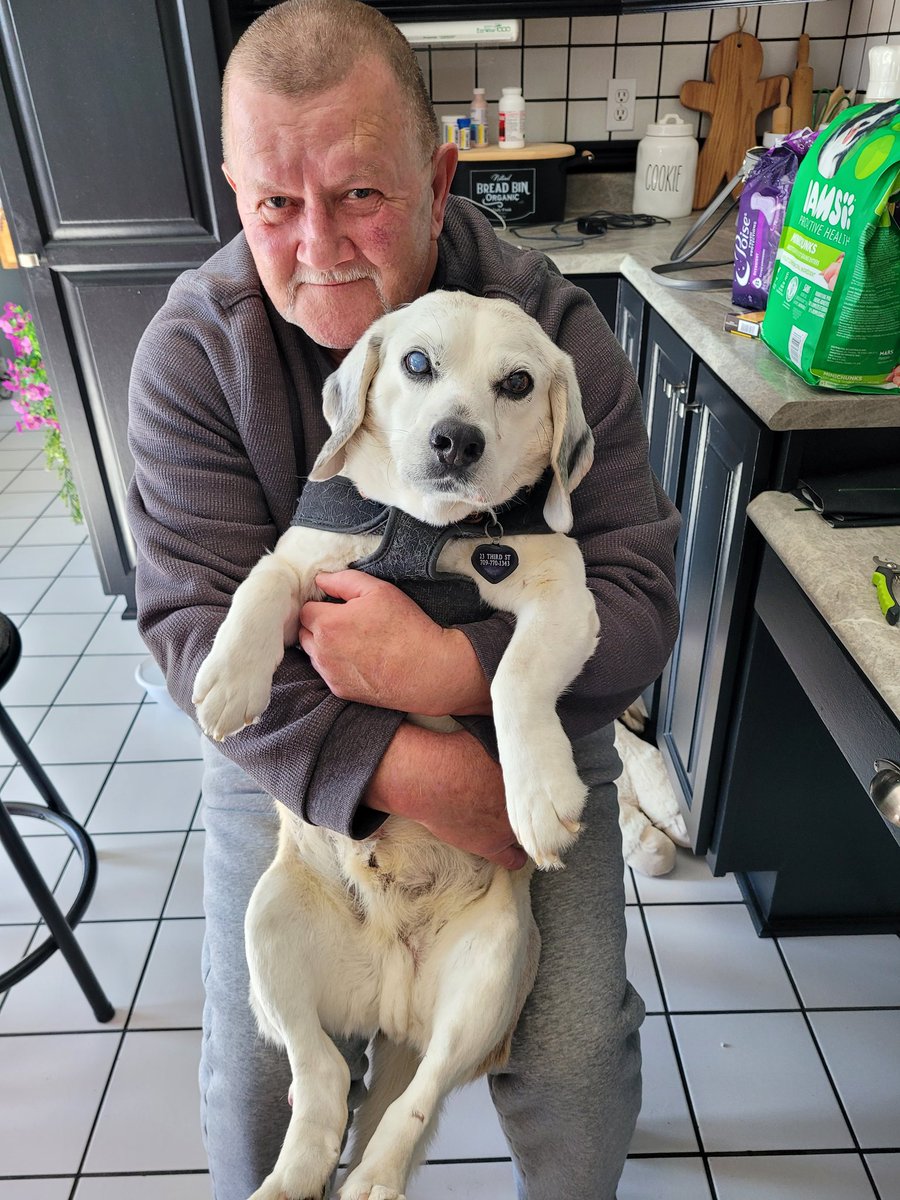 Sir Stanley Zbornak tweet media