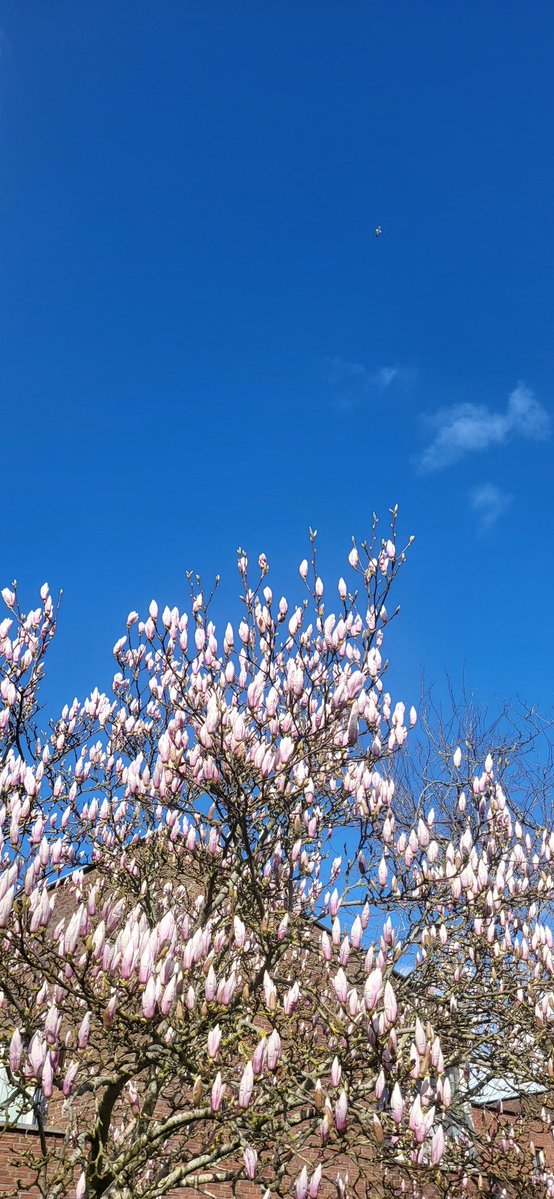 Arjan Ploeg tweet media