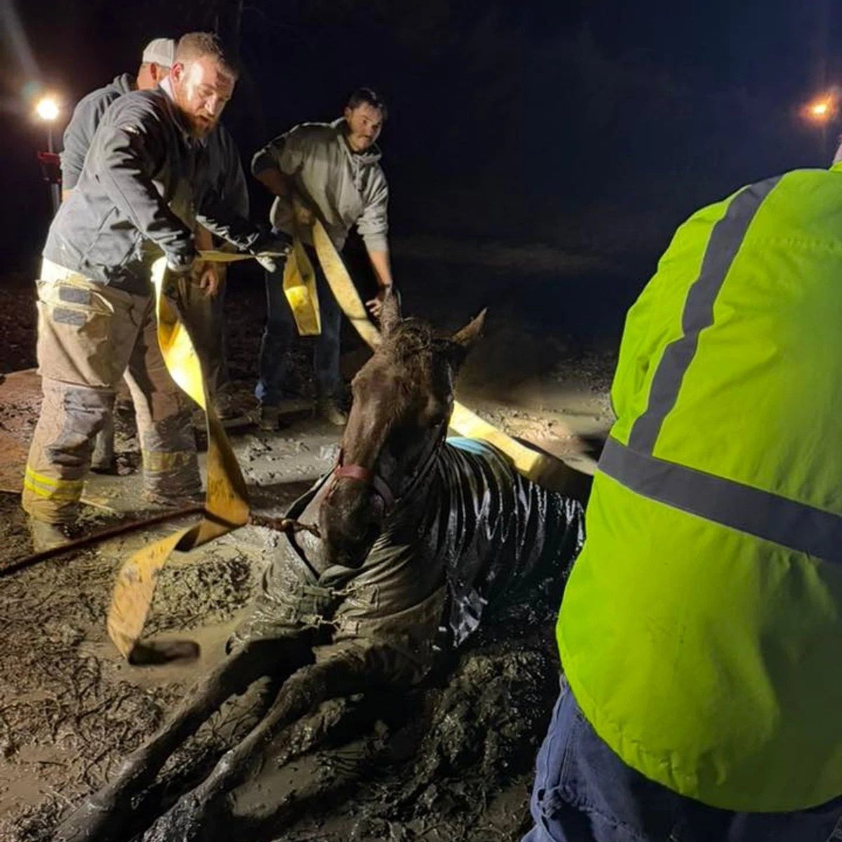 Districts Make the Difference tweet media