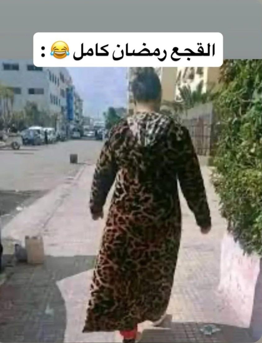 shallou ✨ tweet media