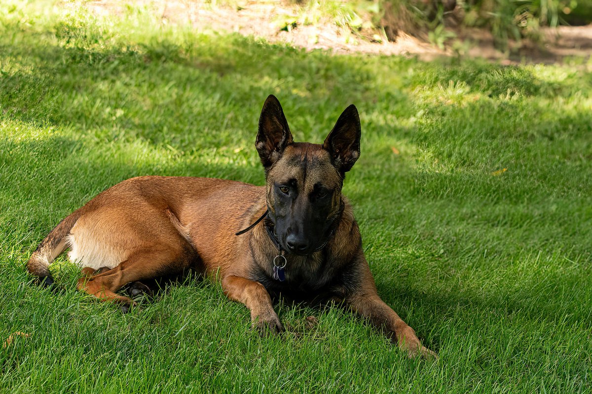 The Only James Magelk tweet media