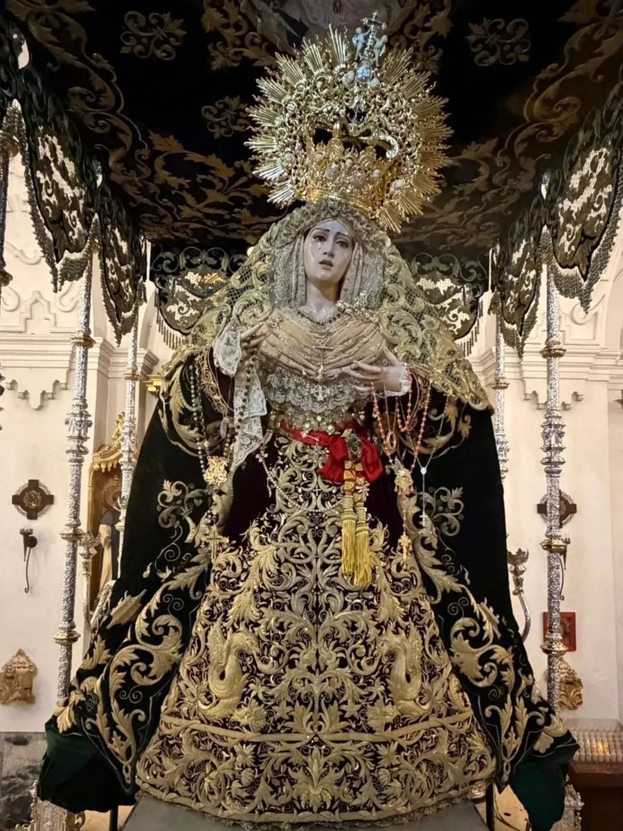 El vencejo de la torre tweet media