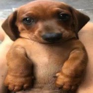 ७ৎ nina 🗞️ tweet media