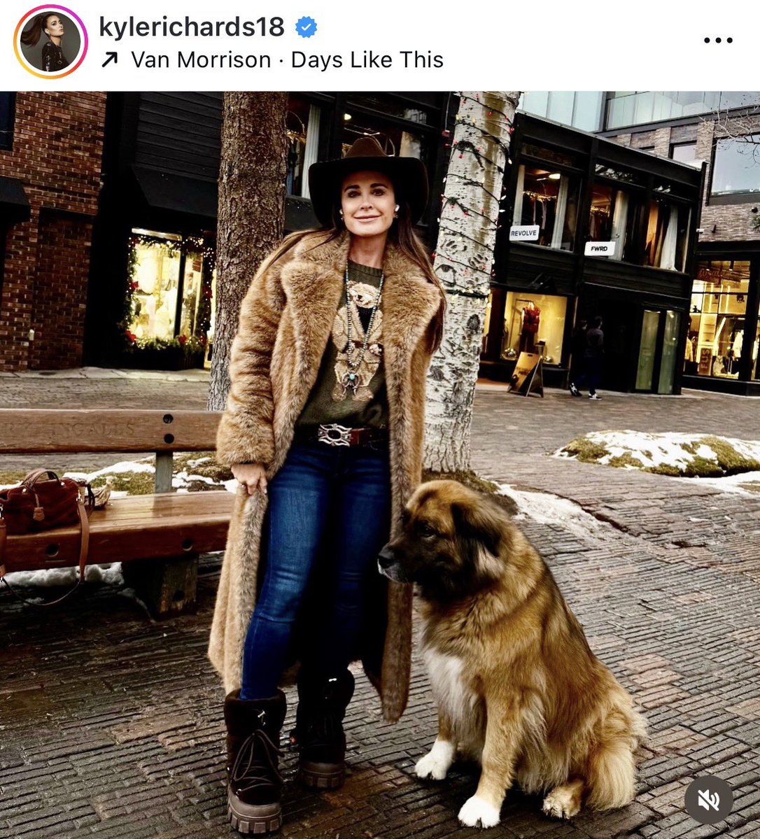 Carey O'Donnell tweet media