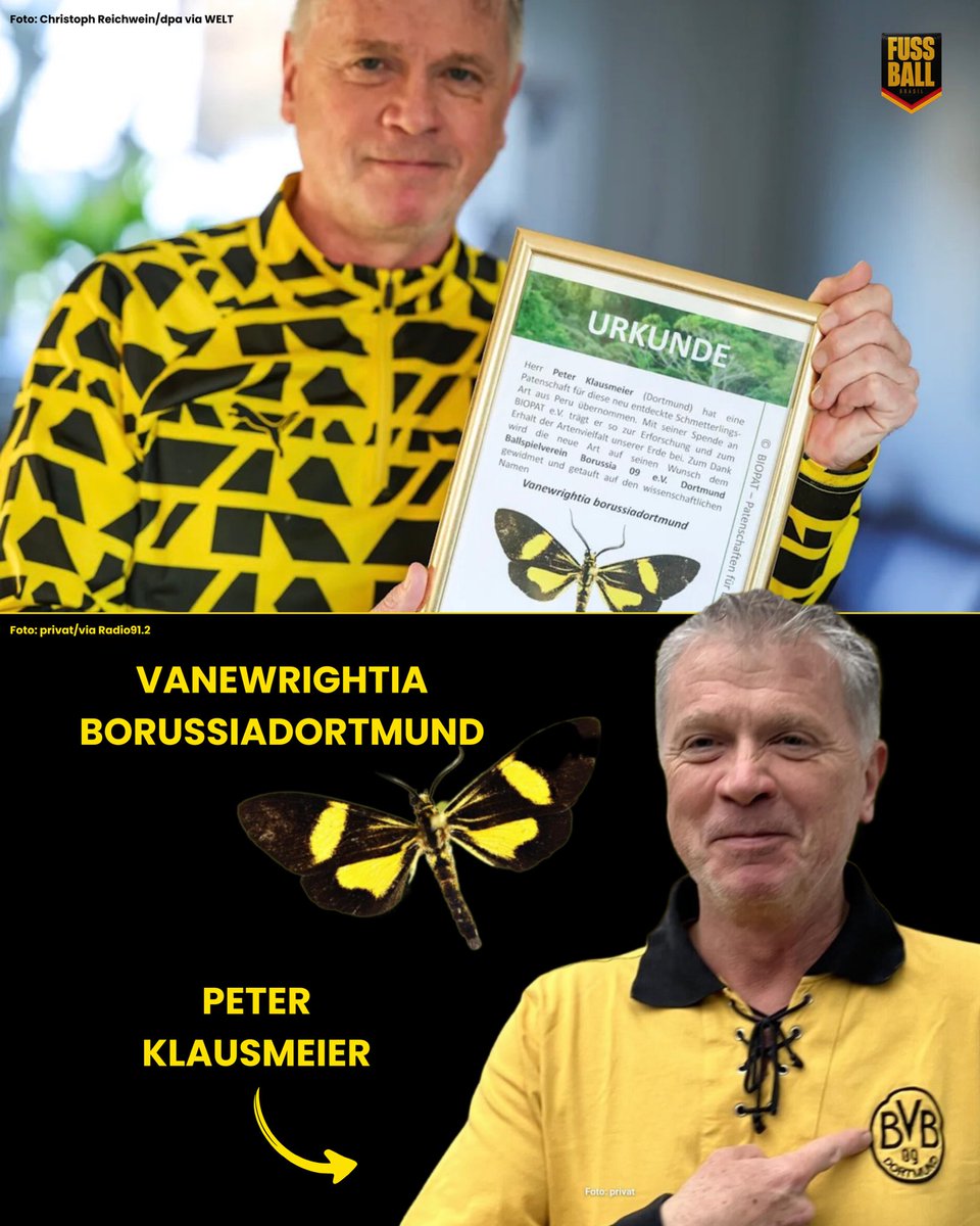 🇩🇪🇵🇪 𝗗𝗢 𝗣𝗘𝗥𝗨 𝗣𝗔𝗥𝗔 𝗗𝗢𝗥𝗧𝗠𝗨𝗡𝗗: 𝗕𝗢𝗥𝗕𝗢𝗟𝗘𝗧𝗔 𝗥𝗘𝗖𝗘𝗕𝗘 𝗡𝗢𝗠𝗘 𝗘𝗠 𝗛𝗢𝗠𝗘𝗡𝗔𝗚𝗘𝗠 𝗔𝗢 𝗕𝗩𝗕! 🦋🖤💛✨

Uma história curiosa que conecta futebol e ciência. Um torcedor do Borussia Dortmund decidiu eternizar sua paixão de uma forma bem diferente. O