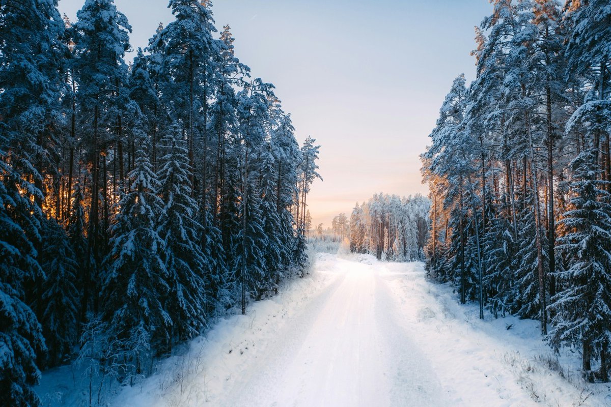 matadornetwork tweet media