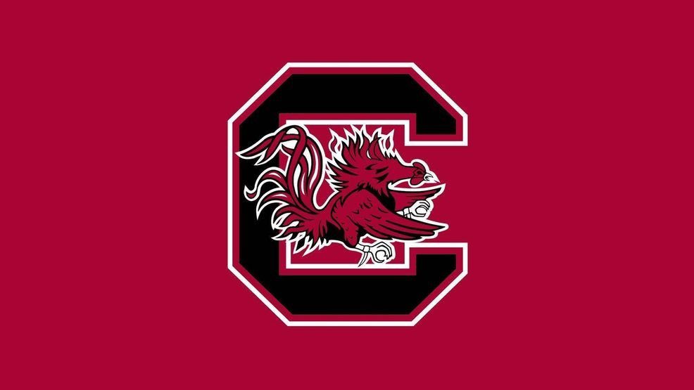 Kevin Verpaele tweet media