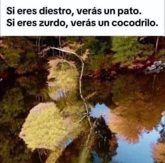 🇲🇽 México Mágico ✨ tweet media