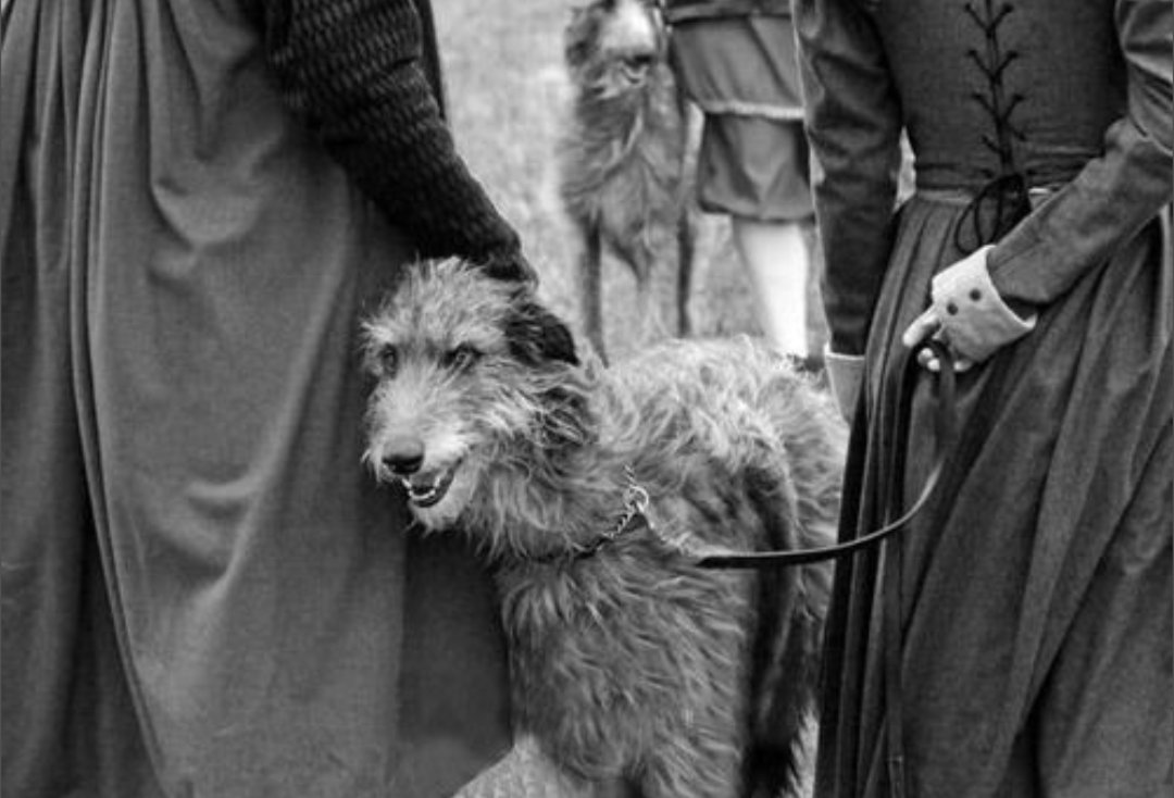 Bert Xanadu tweet media