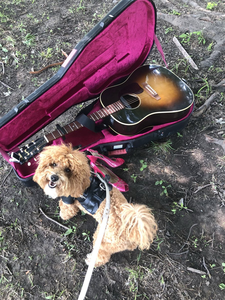 M E T R I C tweet media