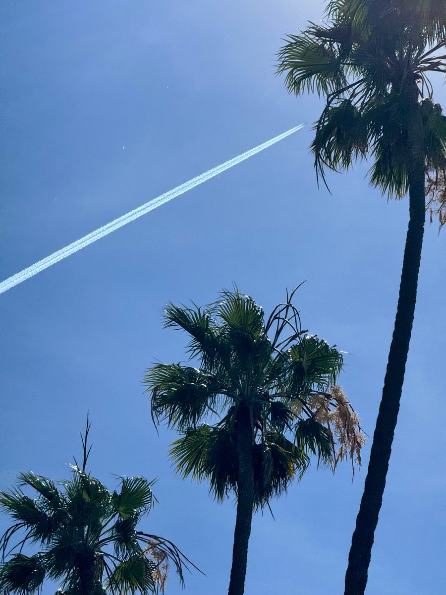 Tom Hall ☘️ tweet media