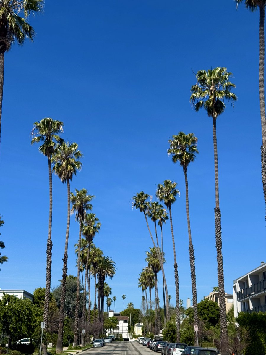 Tom Hall ☘️ tweet media